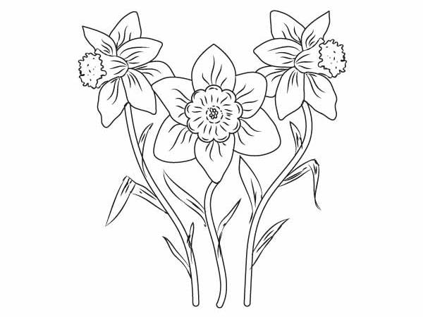 Oznaki wiosny kolorowanki